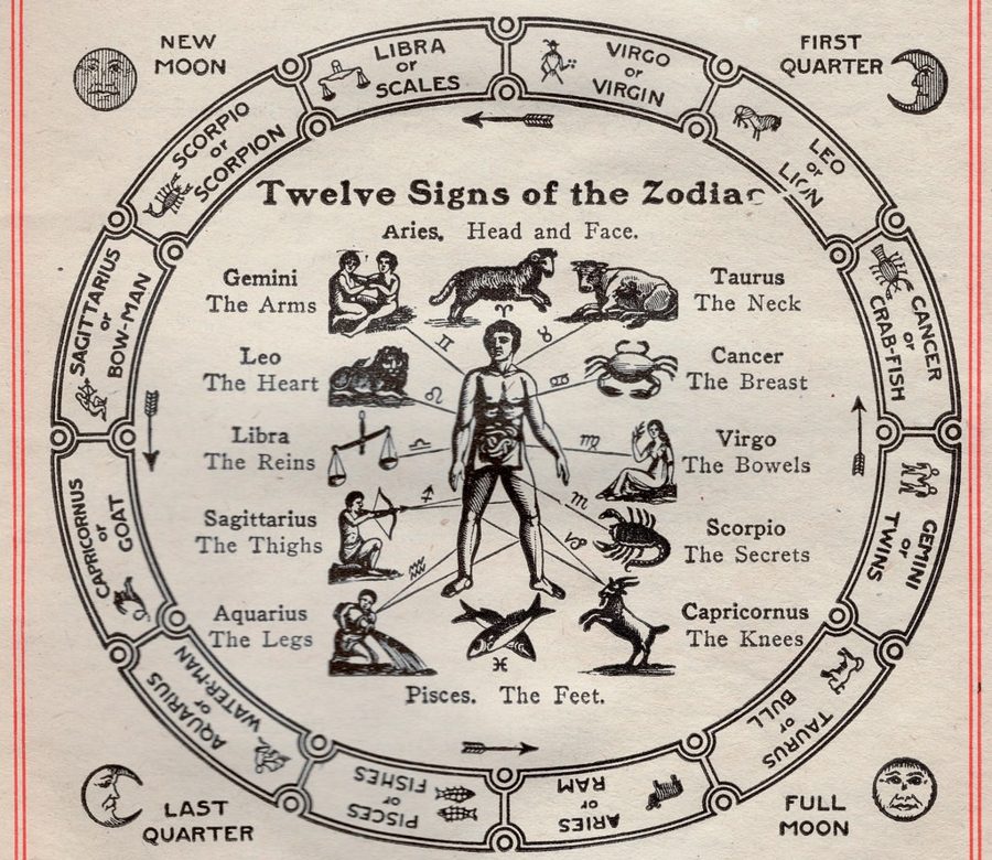Vintage chart of the twelve signs of the zodiac